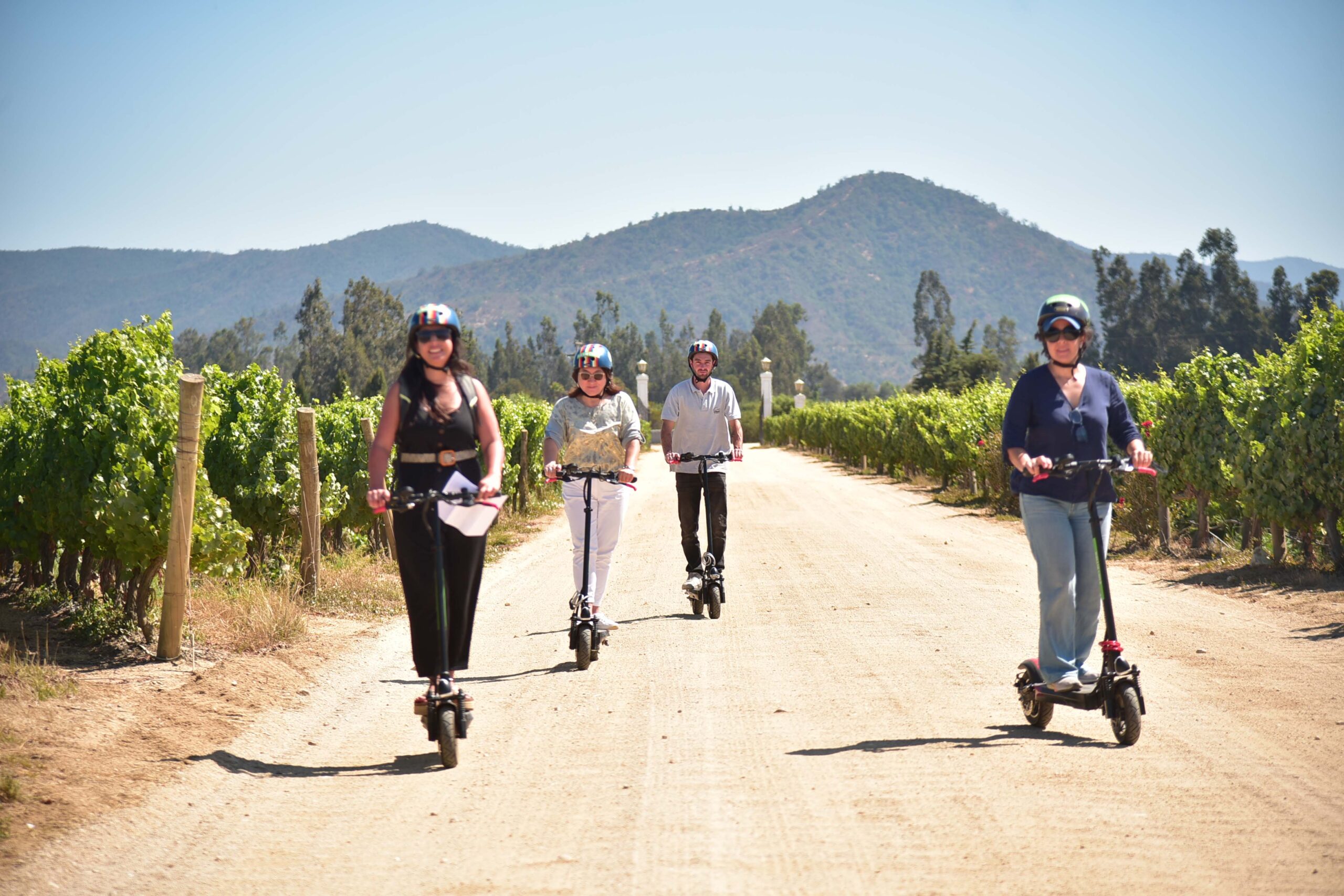 Vineyard Experience Casablanca